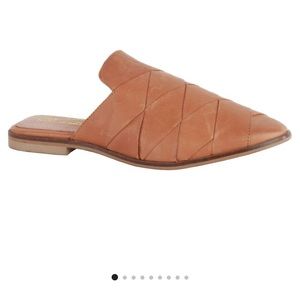 Seychelles mules